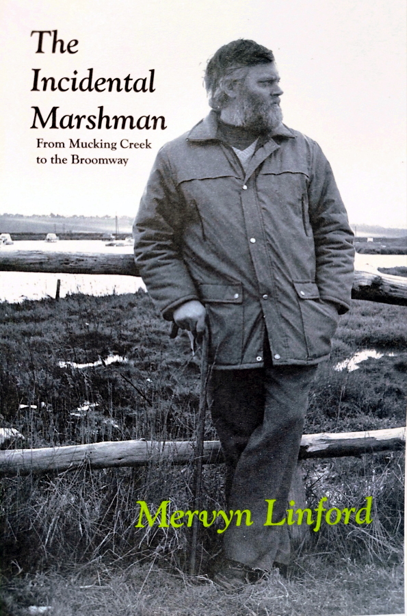 photo of cover of The Incidental Marshman showing figure in landscape